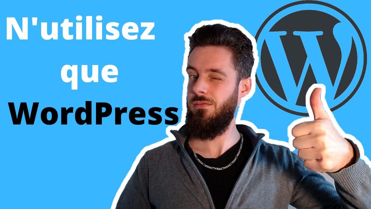 N'utilisez Que Wordpress