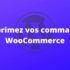 Sécurisez facilement votre site WordPress avec ces astuces incontournables